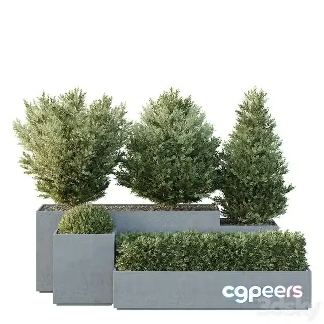 3ds Max Free – HQ Tree and bush garden box outdoor VOL 27