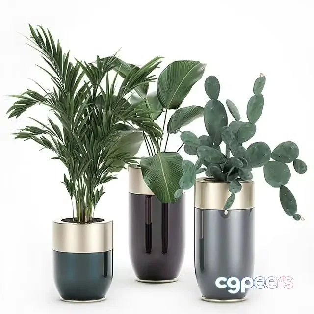3ds Max Free – Collection of plants in beautiful Godwin Longhi pots Set 704
