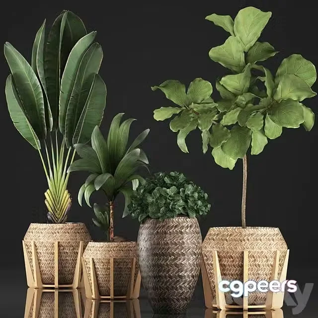 3ds Max Free – Plant collection 348