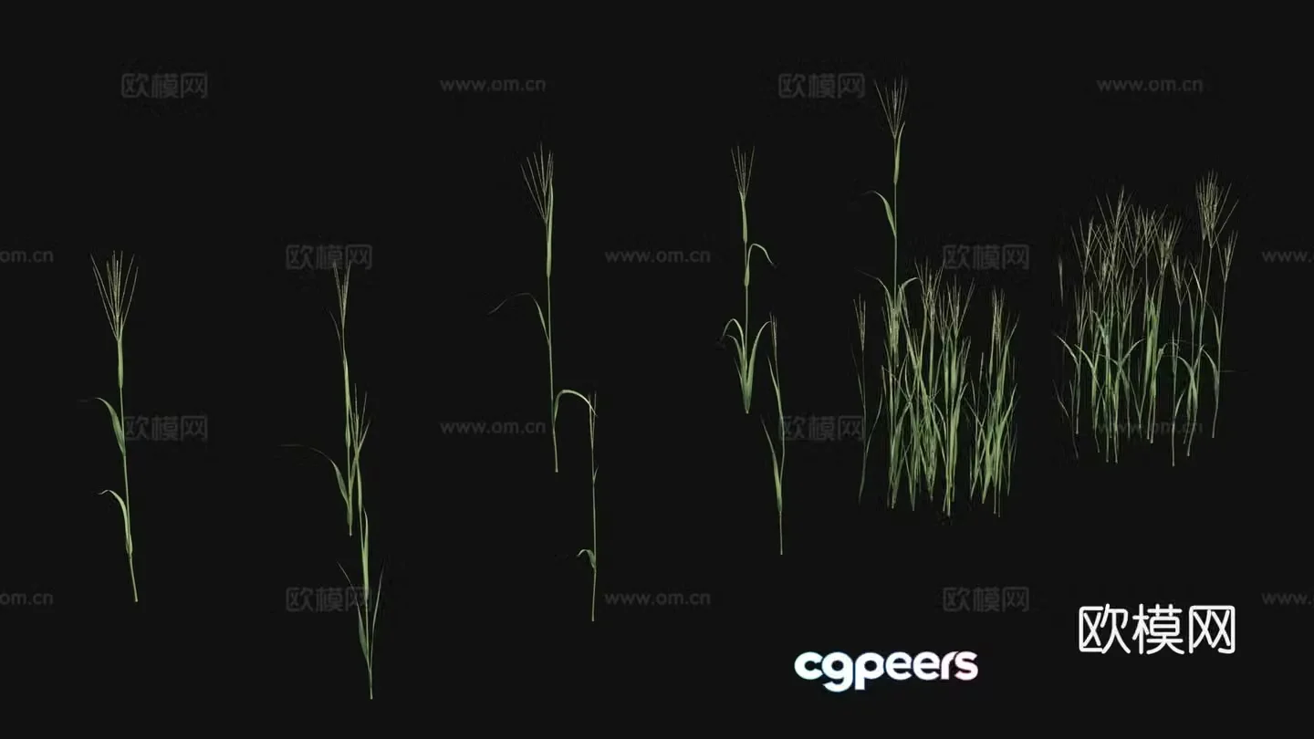 Outdoor flowers plants green plants 3d model