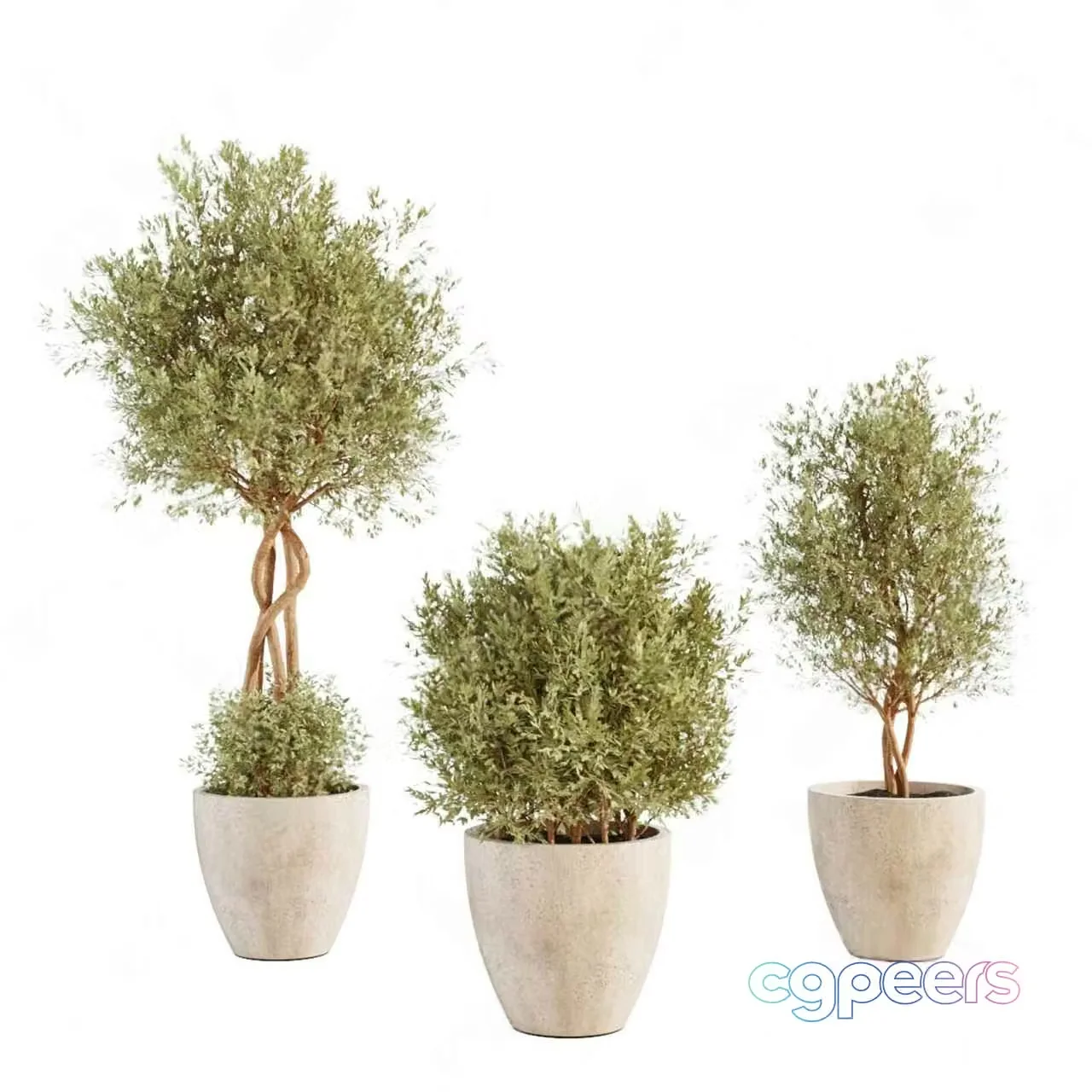 Three Potted Plants 3D Model – 6241 – CORONA Render