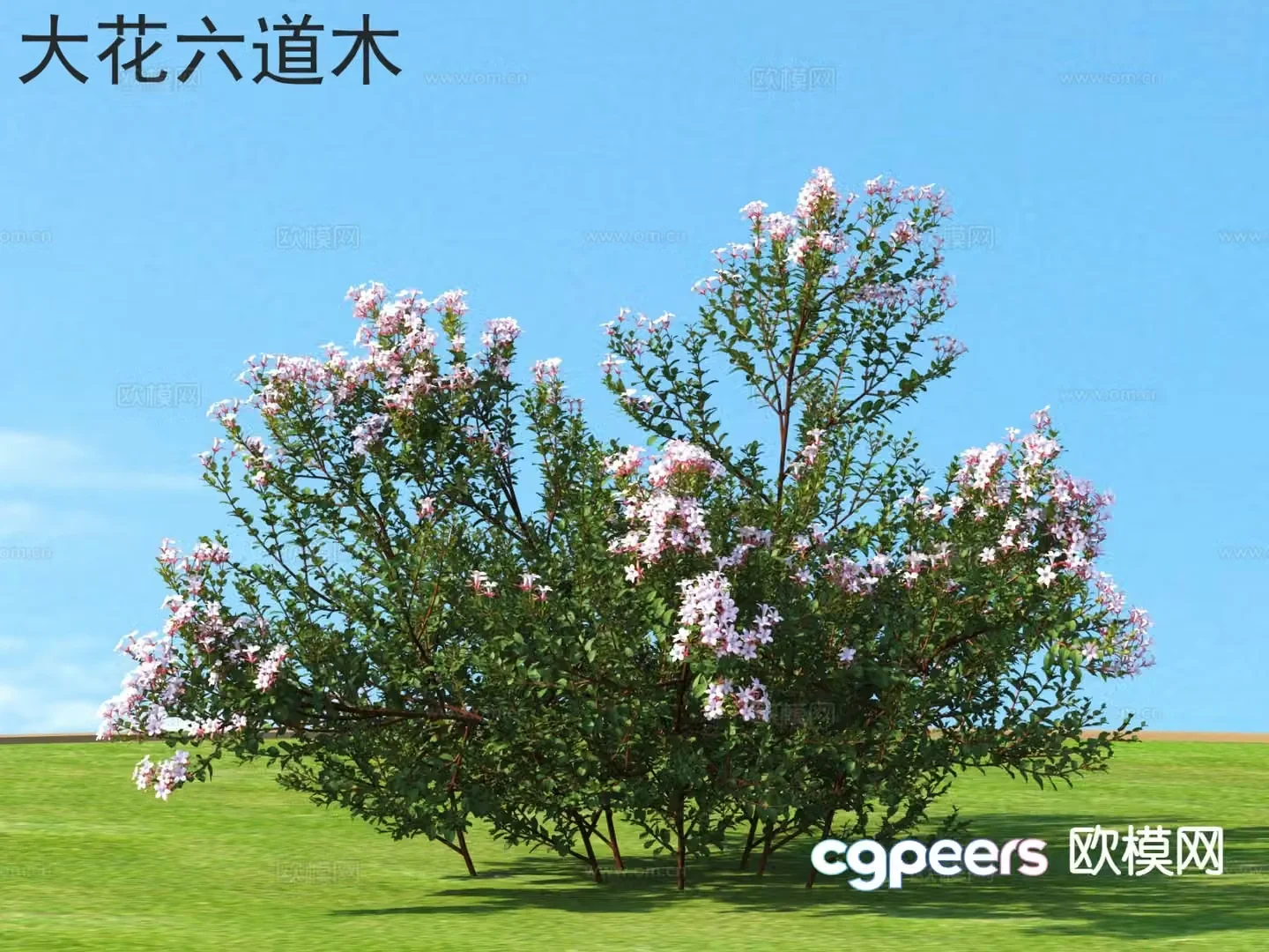 Big Flowers and Six Paths Flowers and Shrubs Plants 3D Model