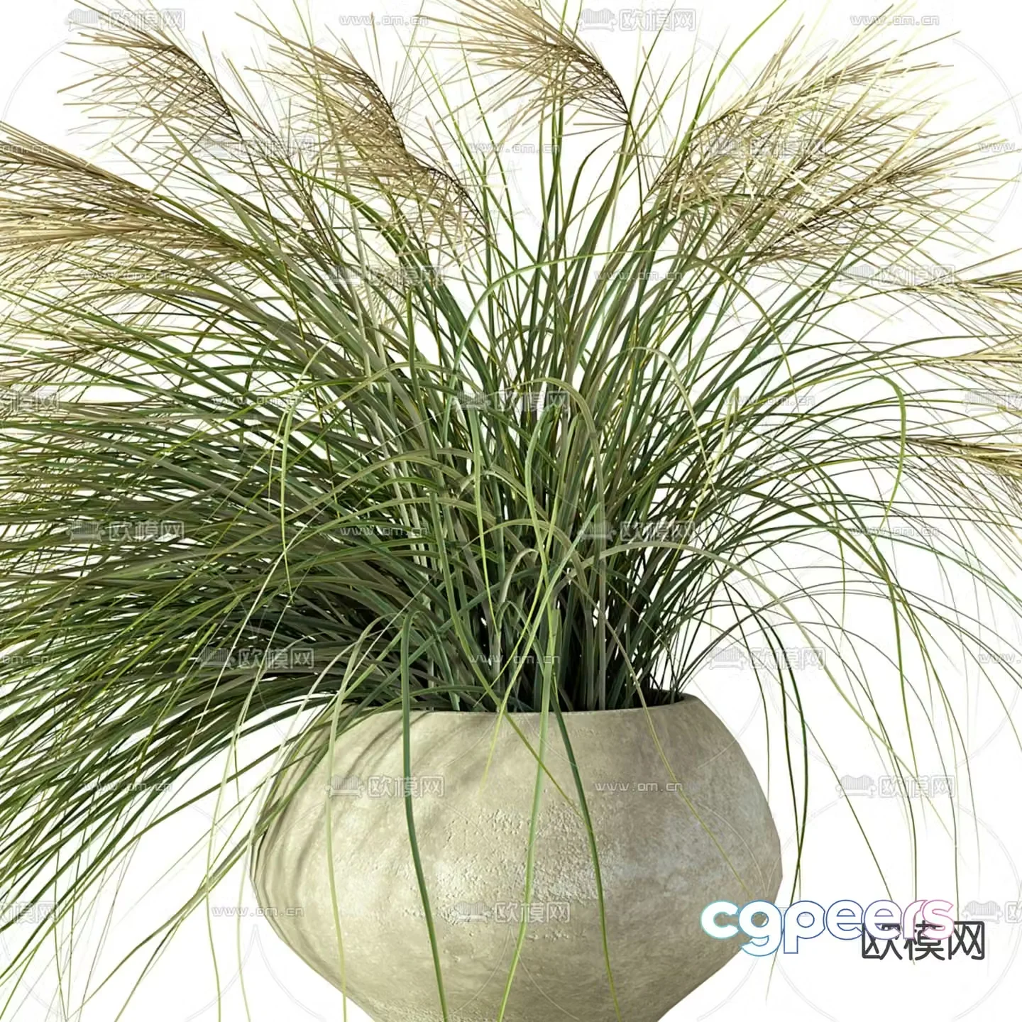 Modern potted plant flower pot 3d model