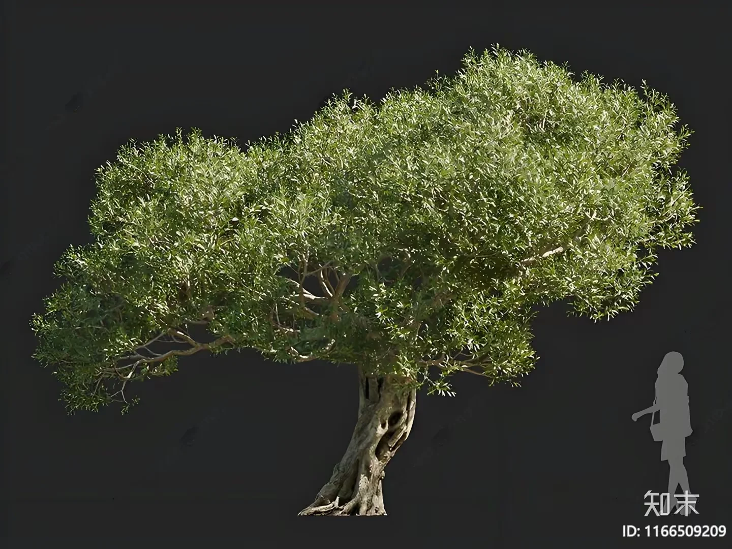 A Tree With A Trunk And Branches 3D Model – 16470 – CORONA Render
