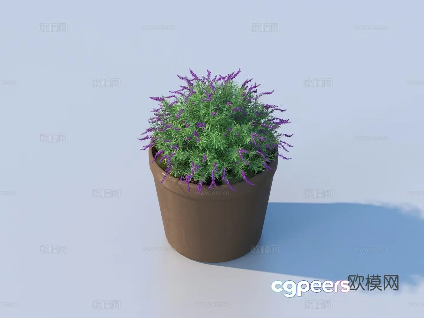 flowerpot potted plant green plant plant 3d model