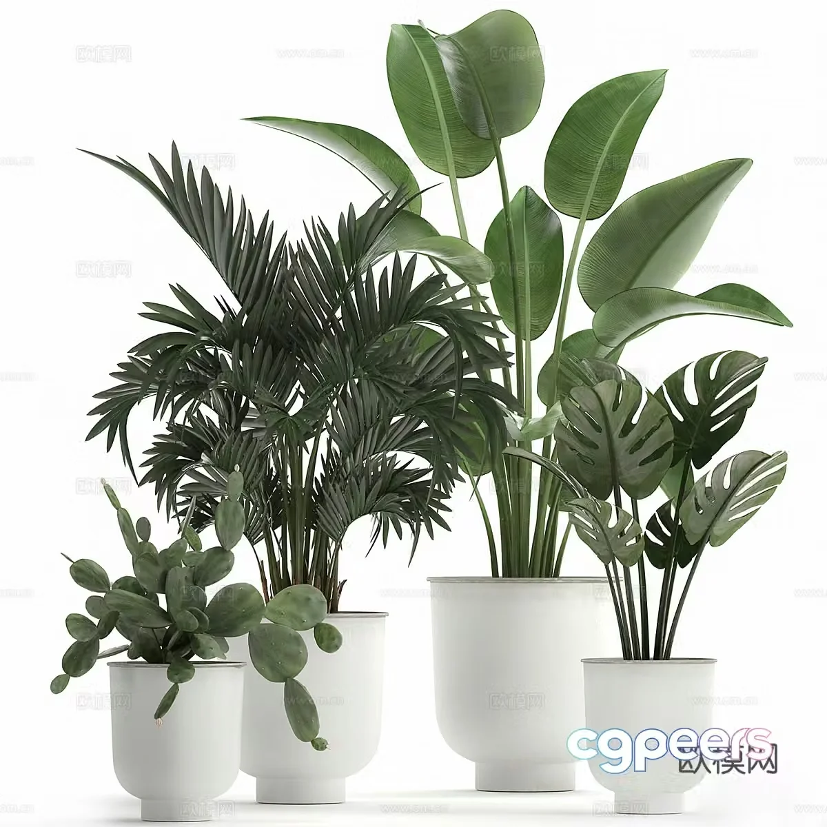Green plant potted 3D model