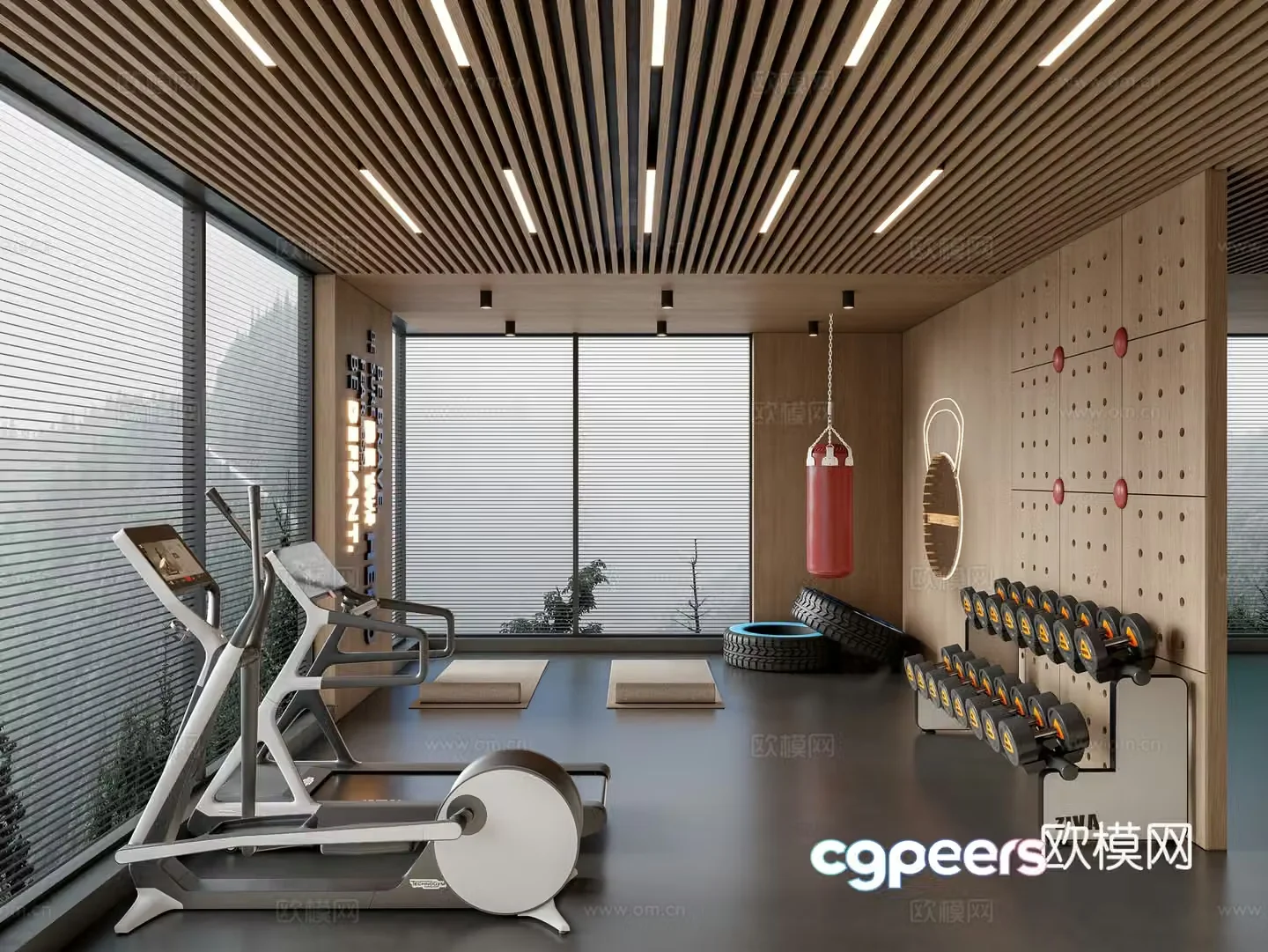 Modern gym 3d model