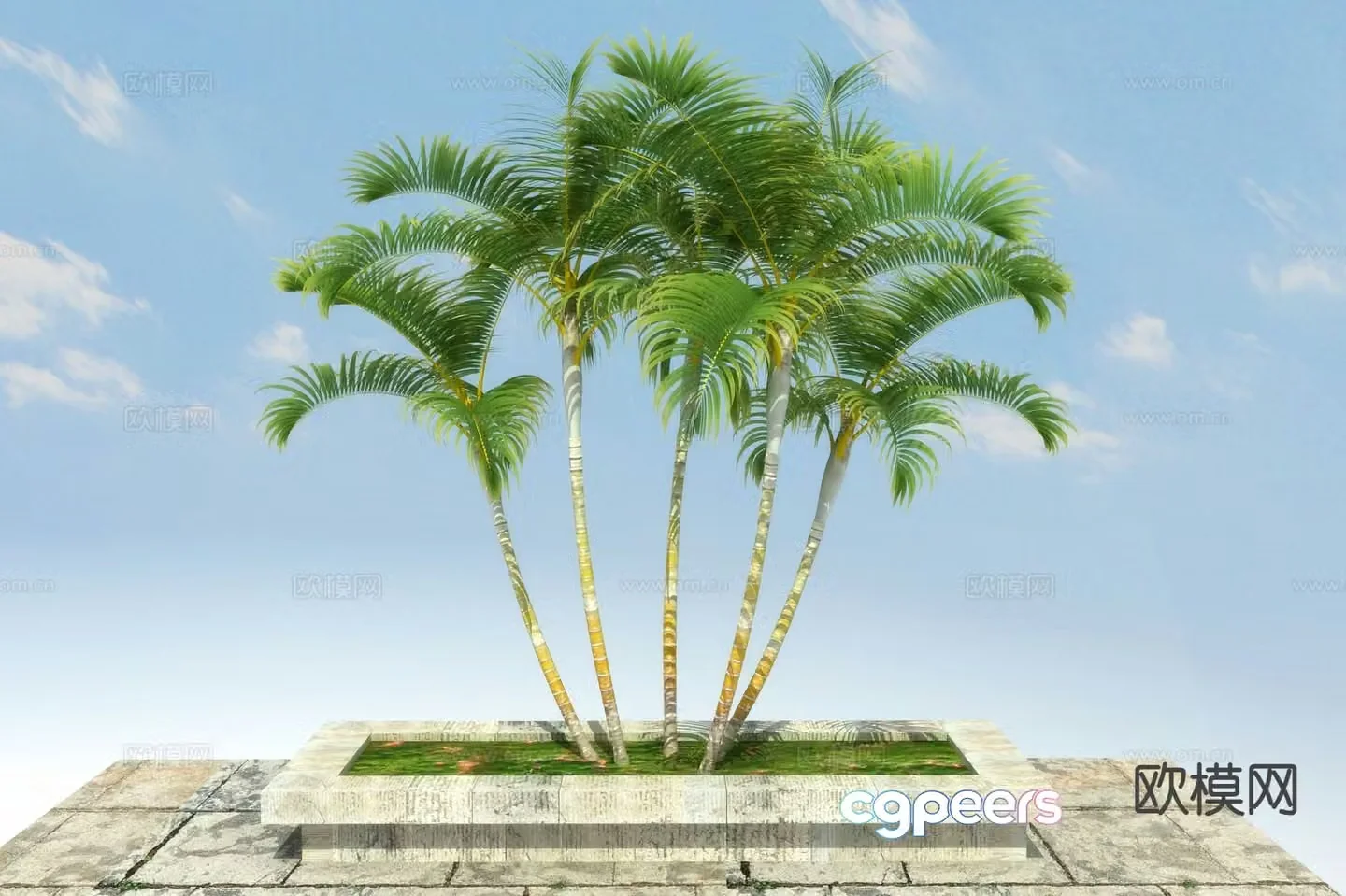 Landscape tree Fruit tree 3d model