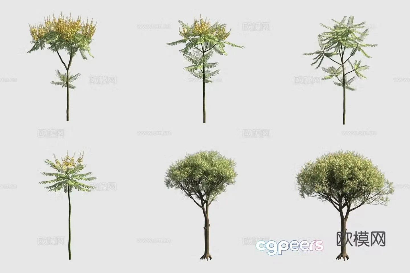 3D model of sticky leaf beans with pods to catch mosquito tree street