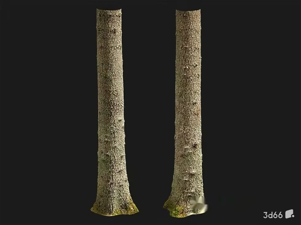 A Pair Of Tree Trunks 3D Model – 22735 – VRAY Render