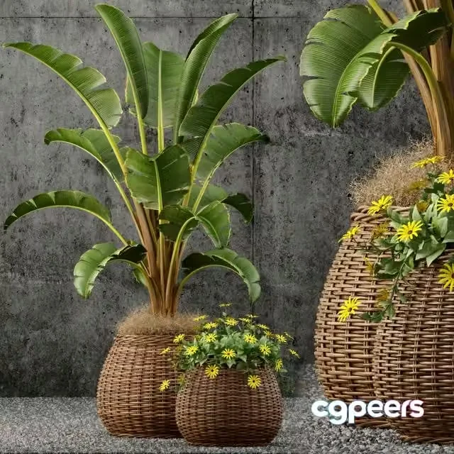 3ds Max Free – Plants collection 55