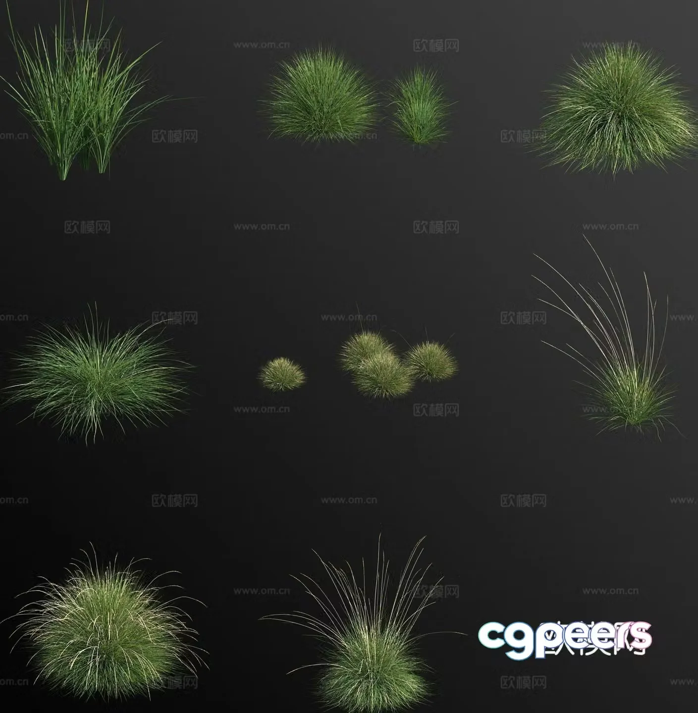 Fescue grass flower 3d model