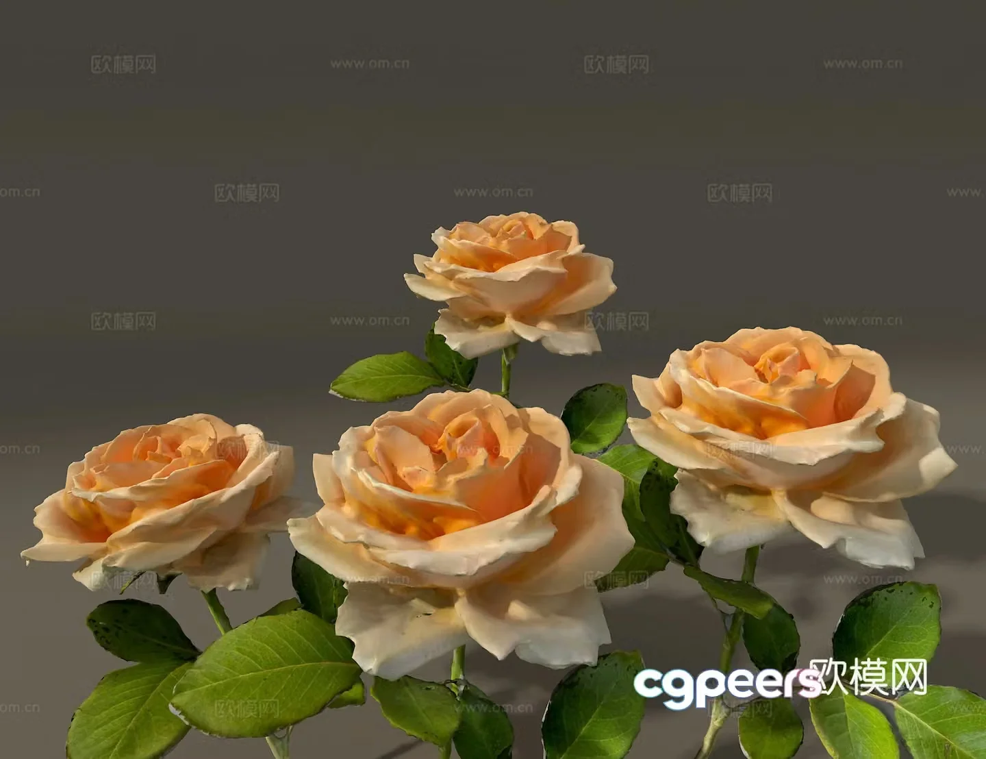 Rose 3d model