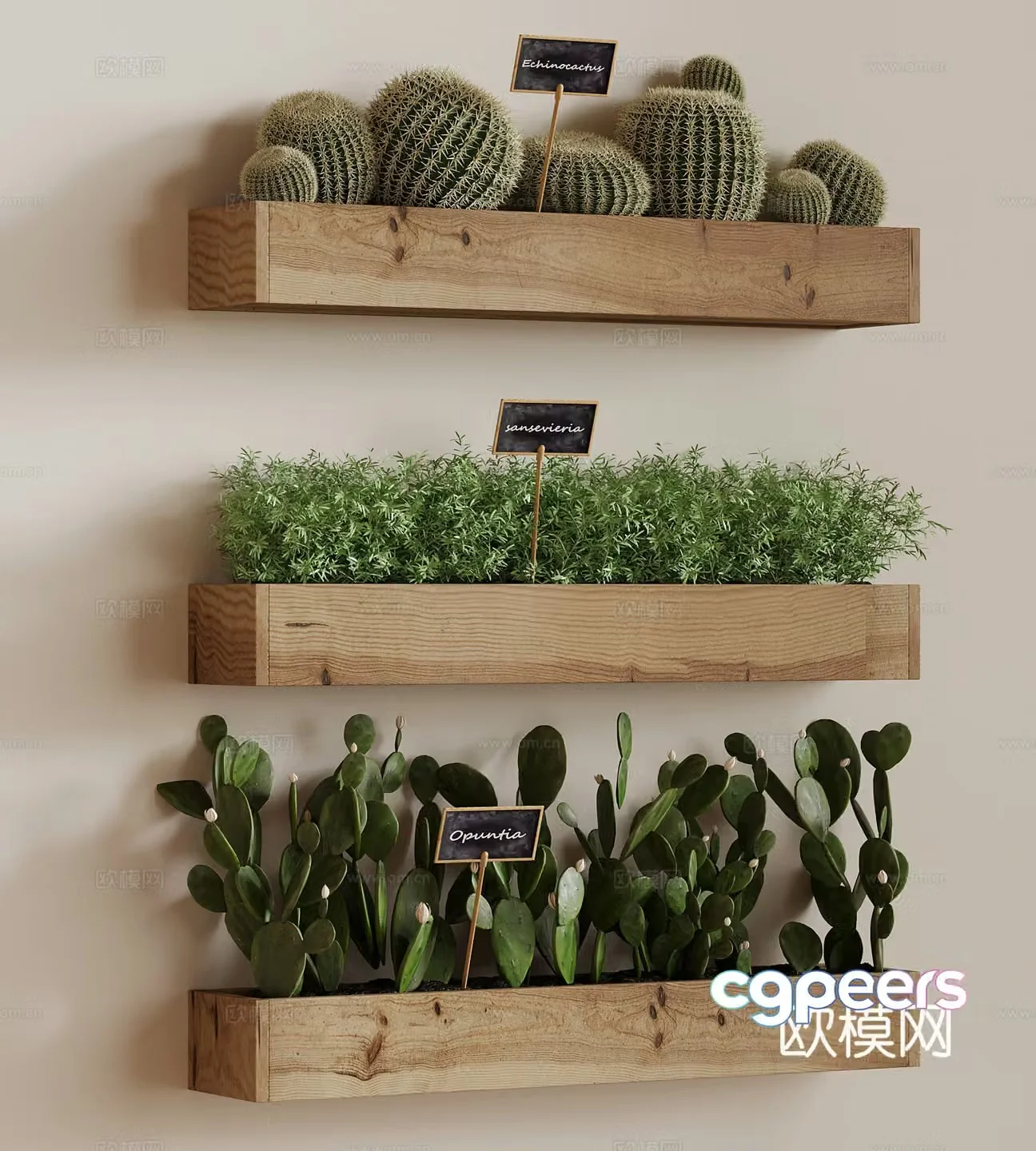 Modern green plant potted plants wall hanging green plants flower box cactus 3d model