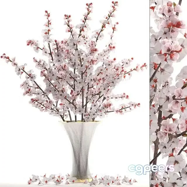 3ds Max Free – Bouquet of white flowers 24.Bouquet of cherry blossoms