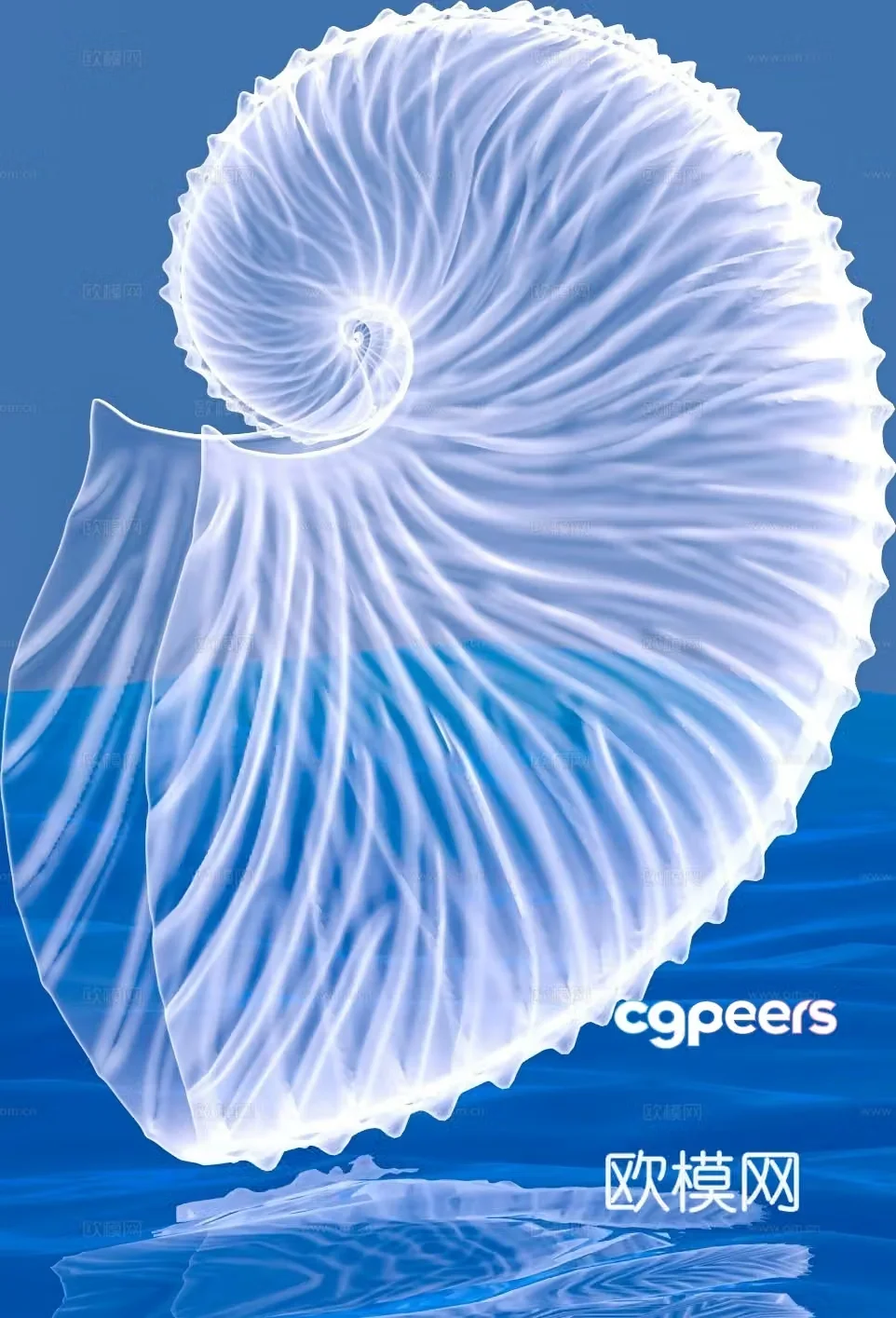 Glowing conch 3d model