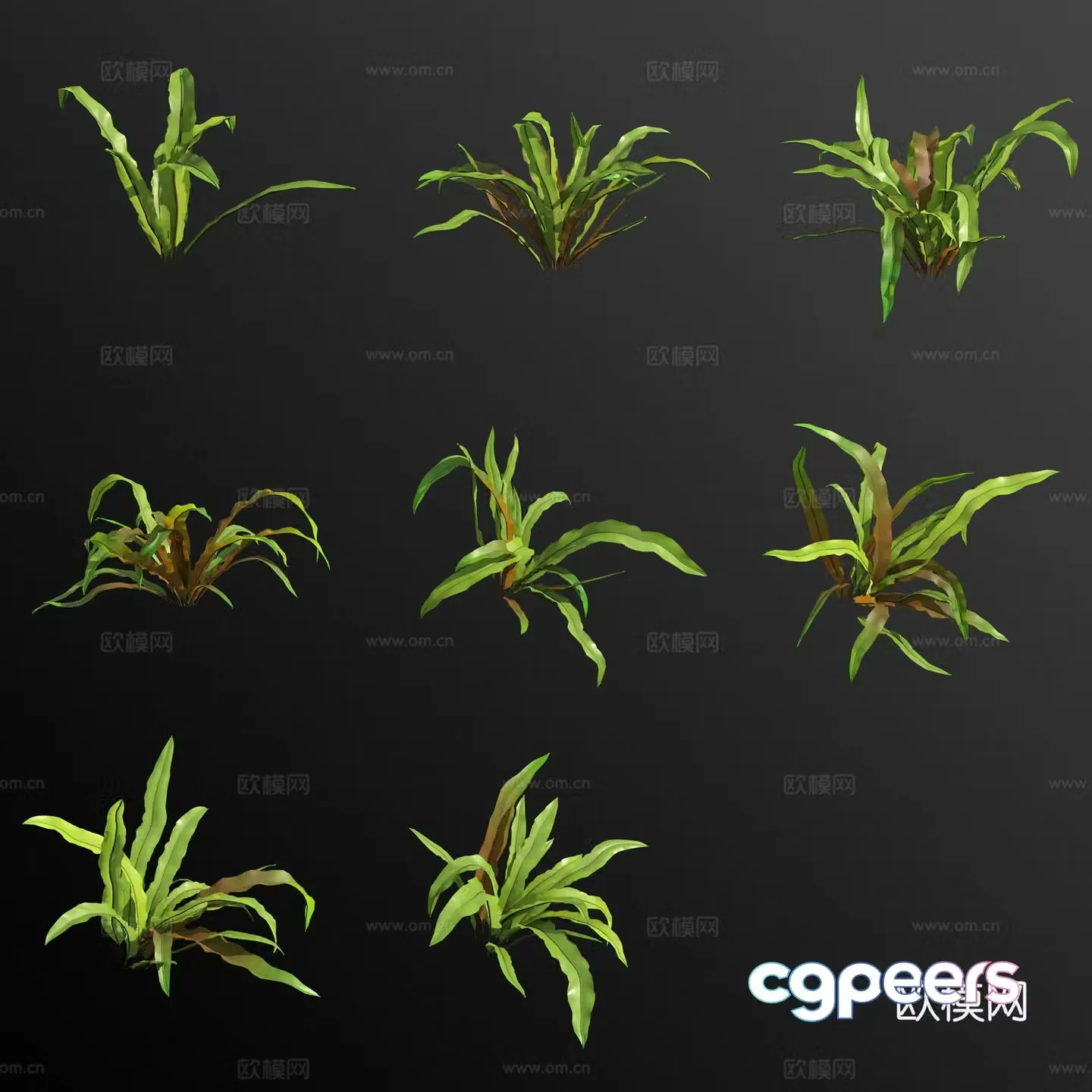 3D model of Nanyang nest fern flower and grass
