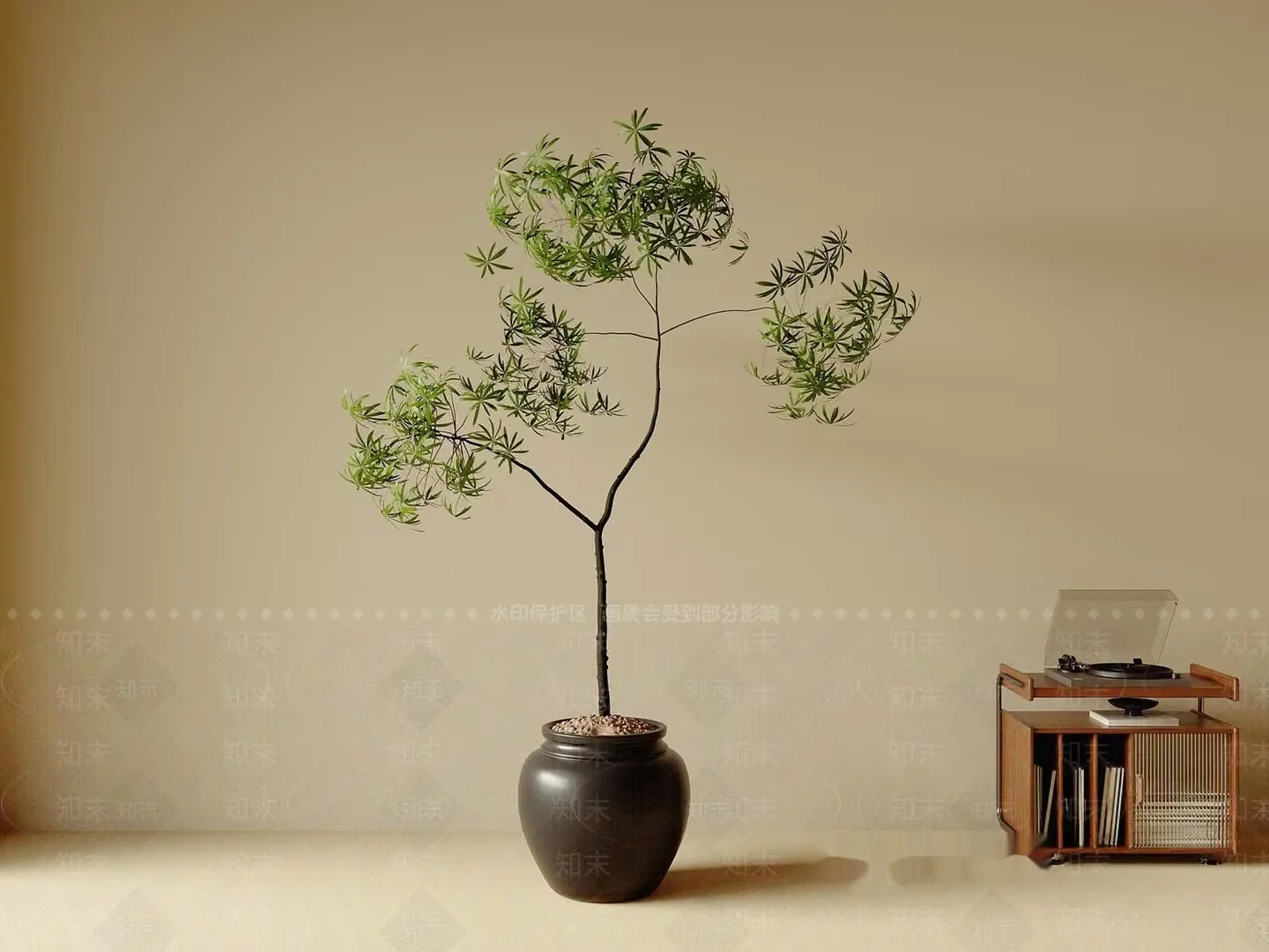 A Plant In A Pot 3D Model – 3233 – VRAY Render