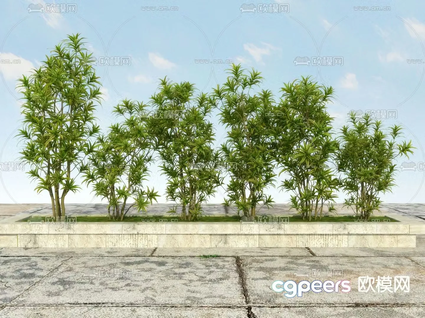 Landscape tree tree yellow oleander 3d model