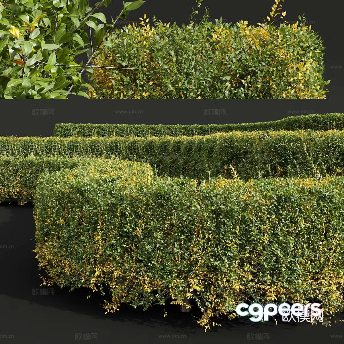 Styling Shrubs Pruning Shrubs Hedge 3d Model