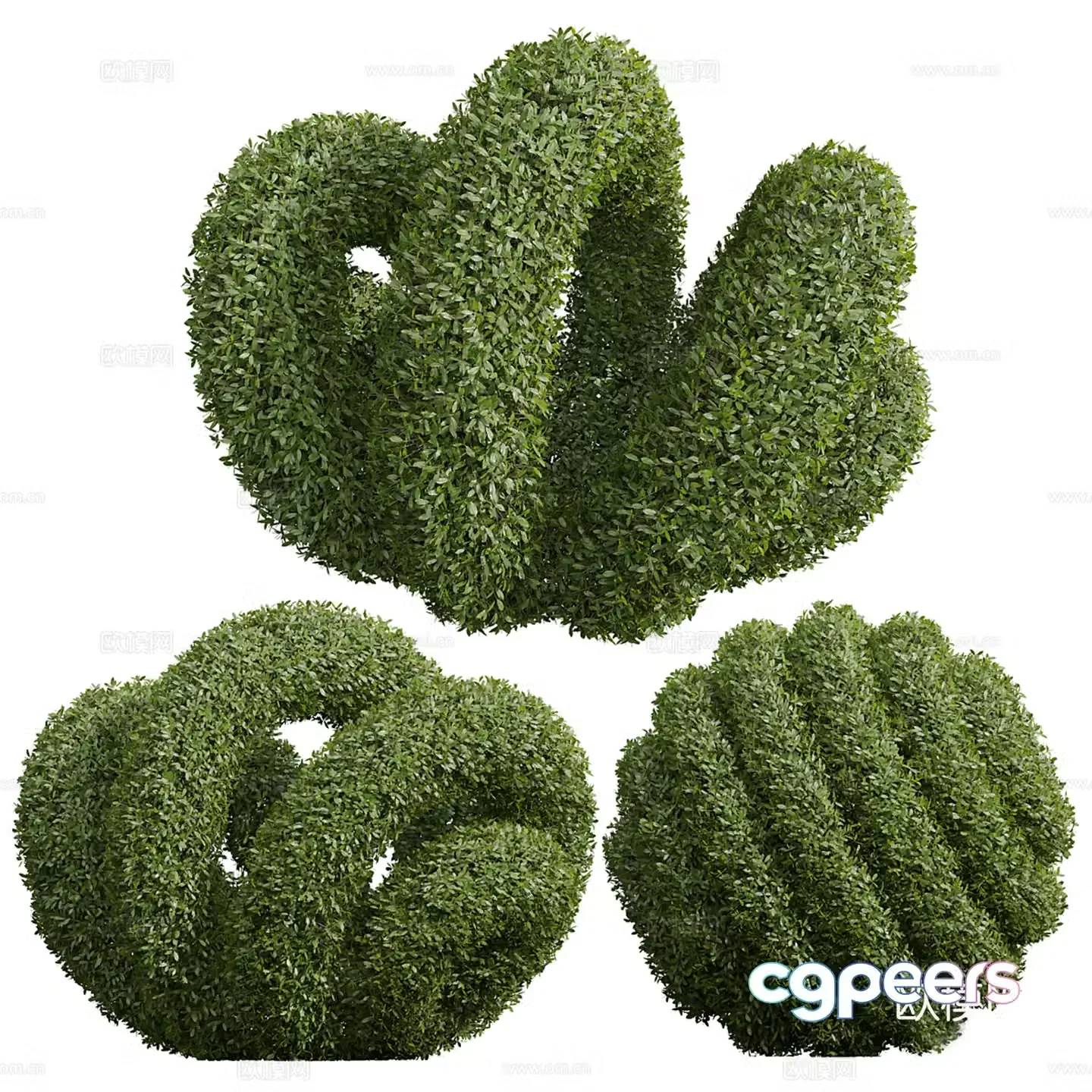 Plant Modeling Shrub 3D Model