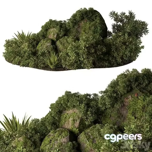 3ds Max Free – Garden Plants – Outdoor Plants 648