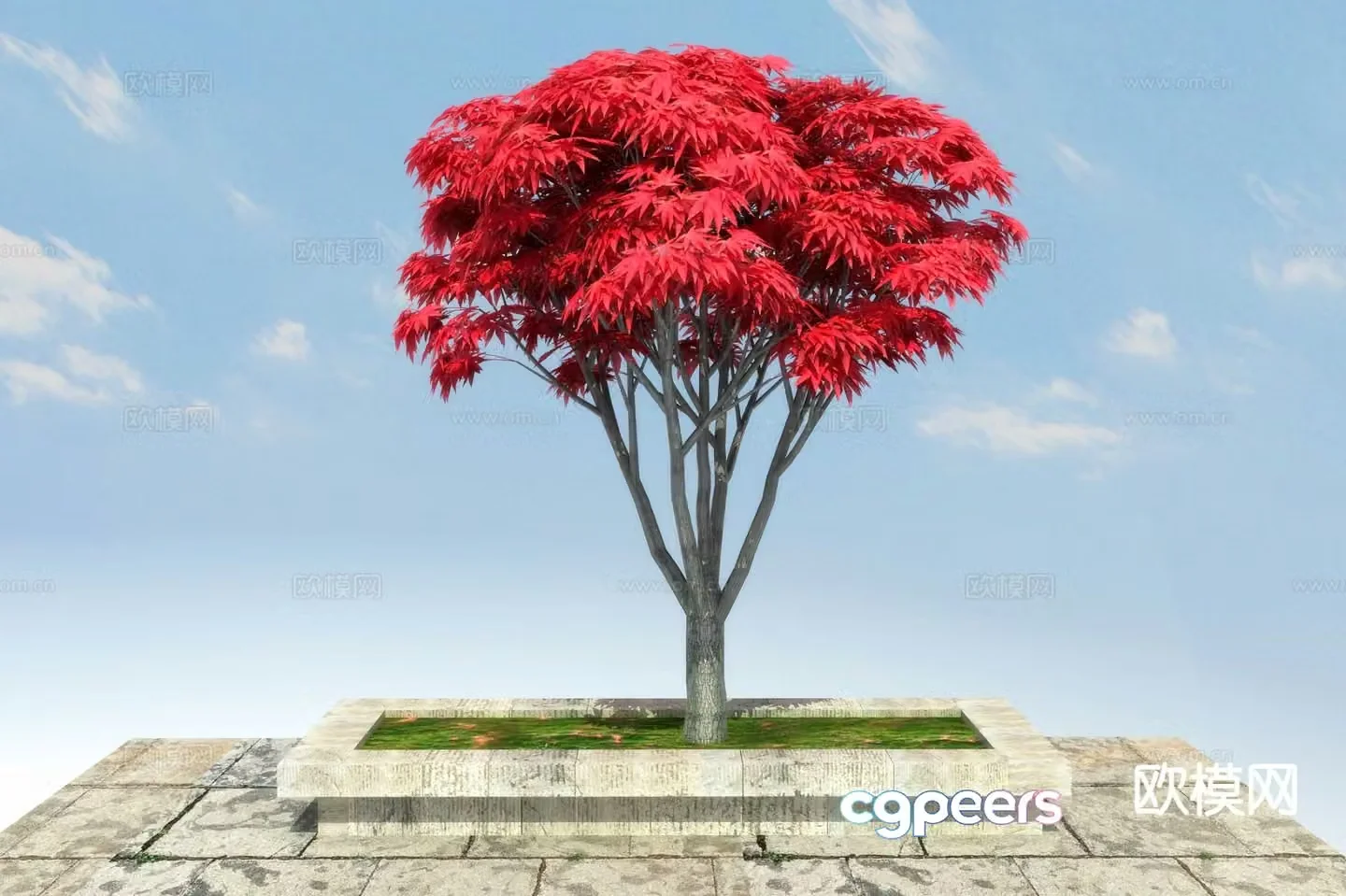 Landscape tree red maple 3d model