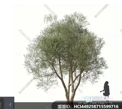 A Tree 3D Model – 18213 – VRAY Render