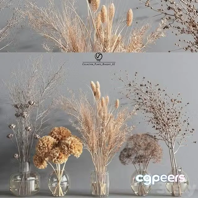 3ds Max Free – Collaction_Plants_Bouquet_2_vray