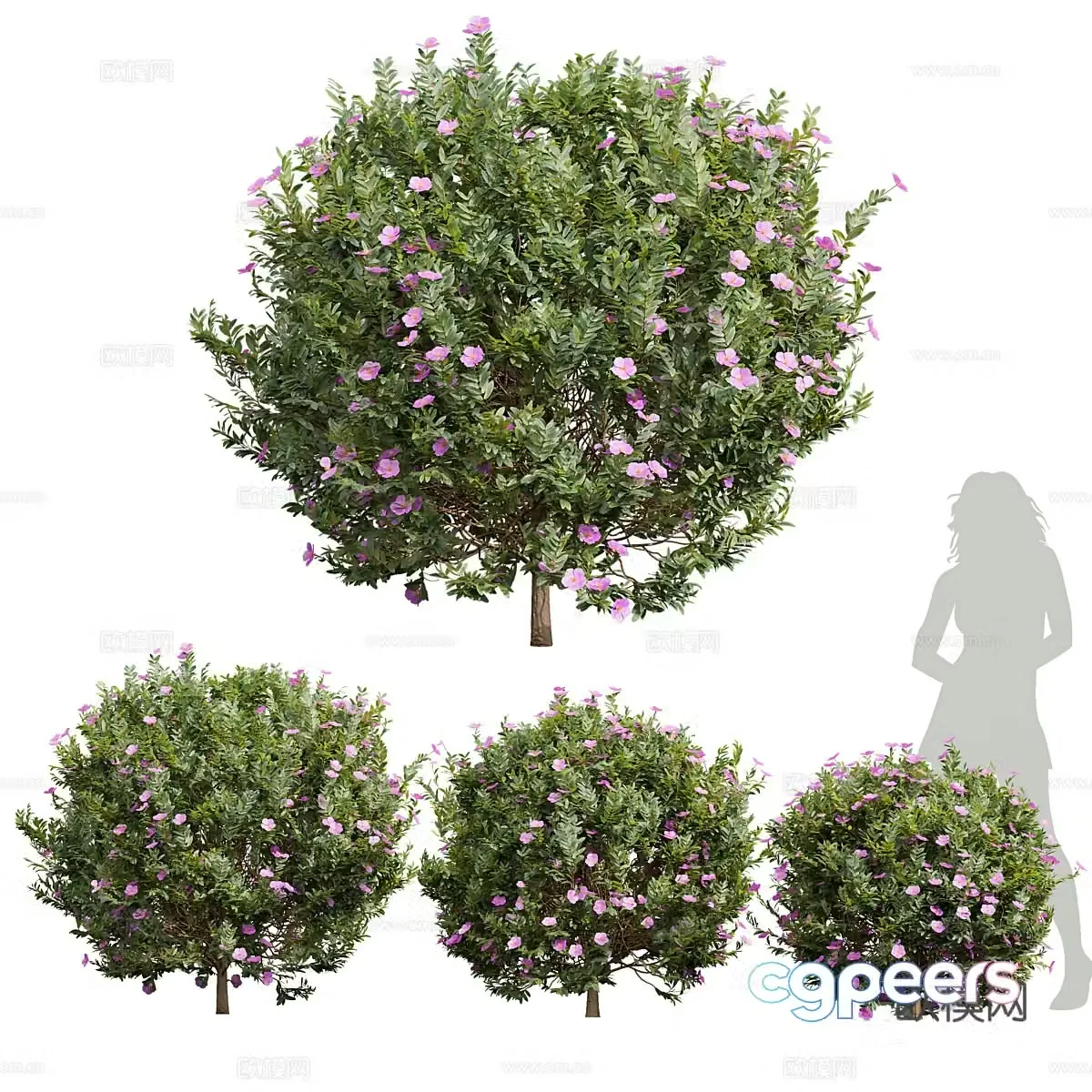 Rose Tree 3D Model