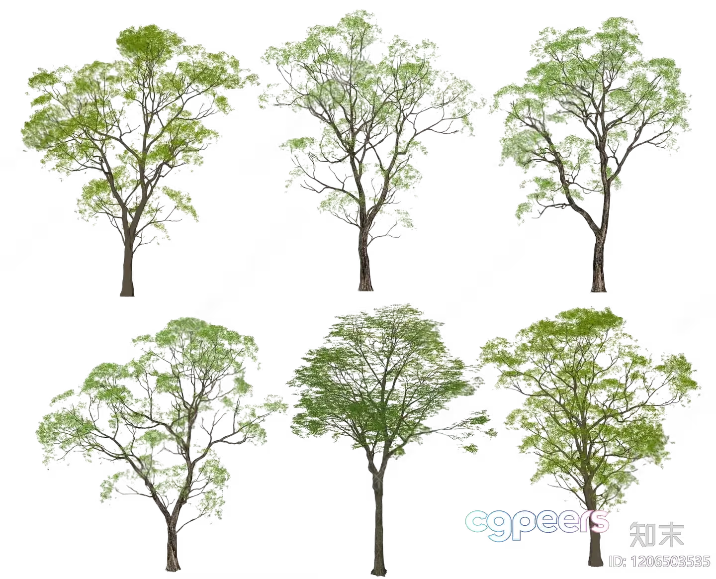 Tree Illustrations 3D Model – 6354 – VRAY Render