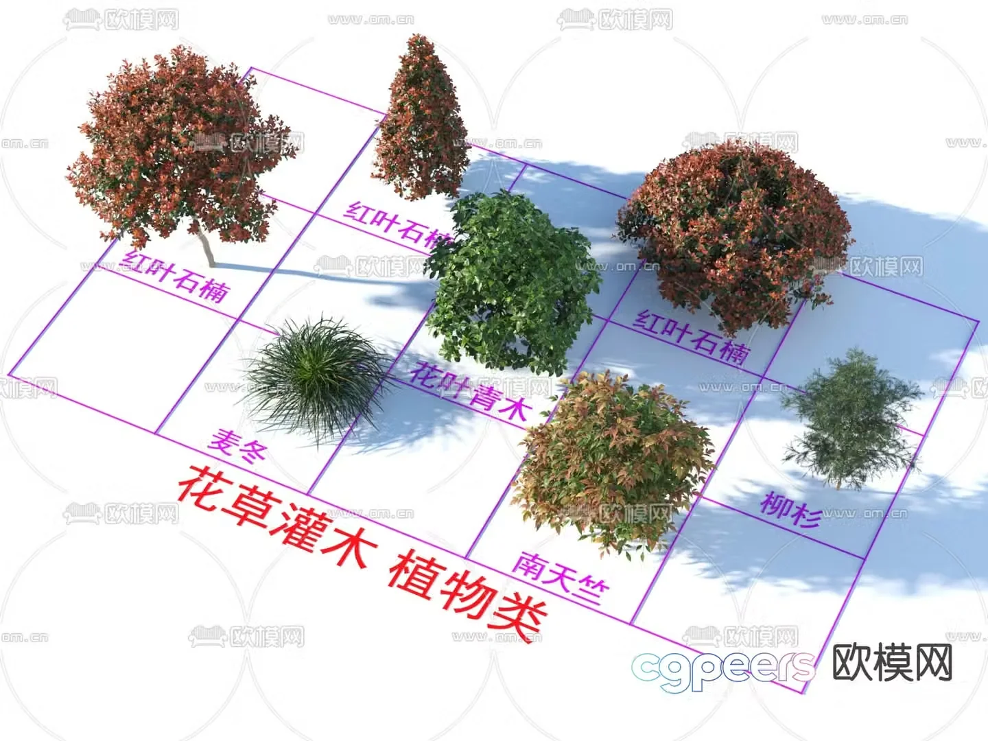 Red leaf heather flower leaves green wood shrub flowers and plants 3D model