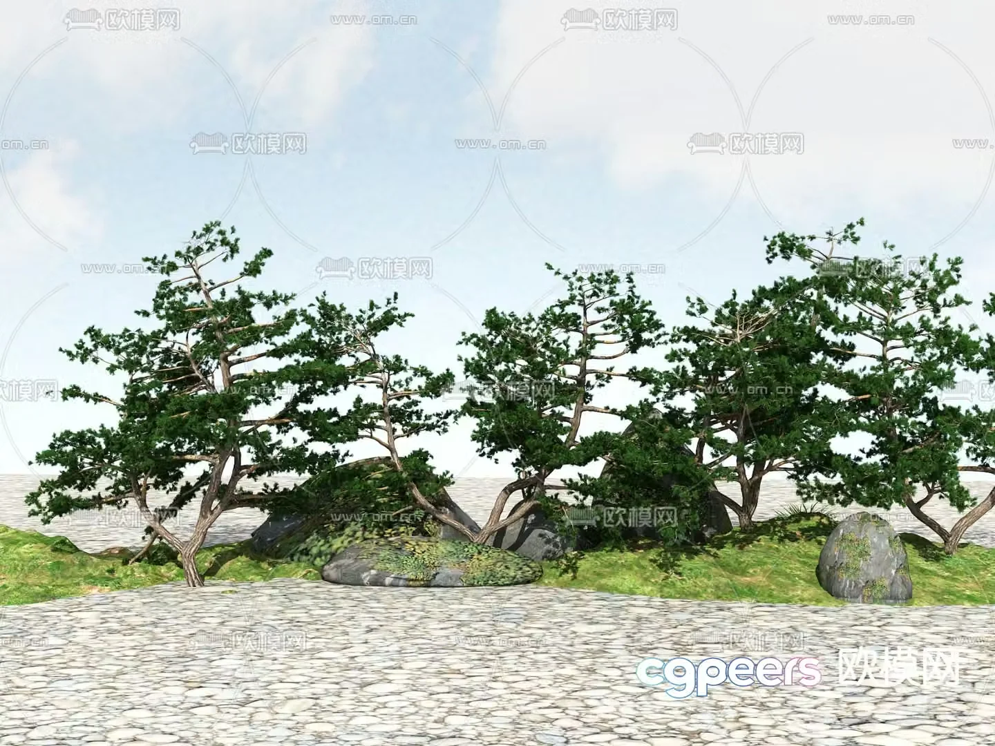 Modern shrubs Trees 3d model