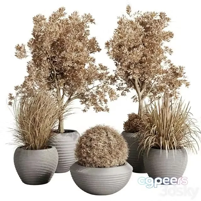 3ds Max Free – Dry Grass and Trees in a Concrete Pot – Indoor plant autumn set 570