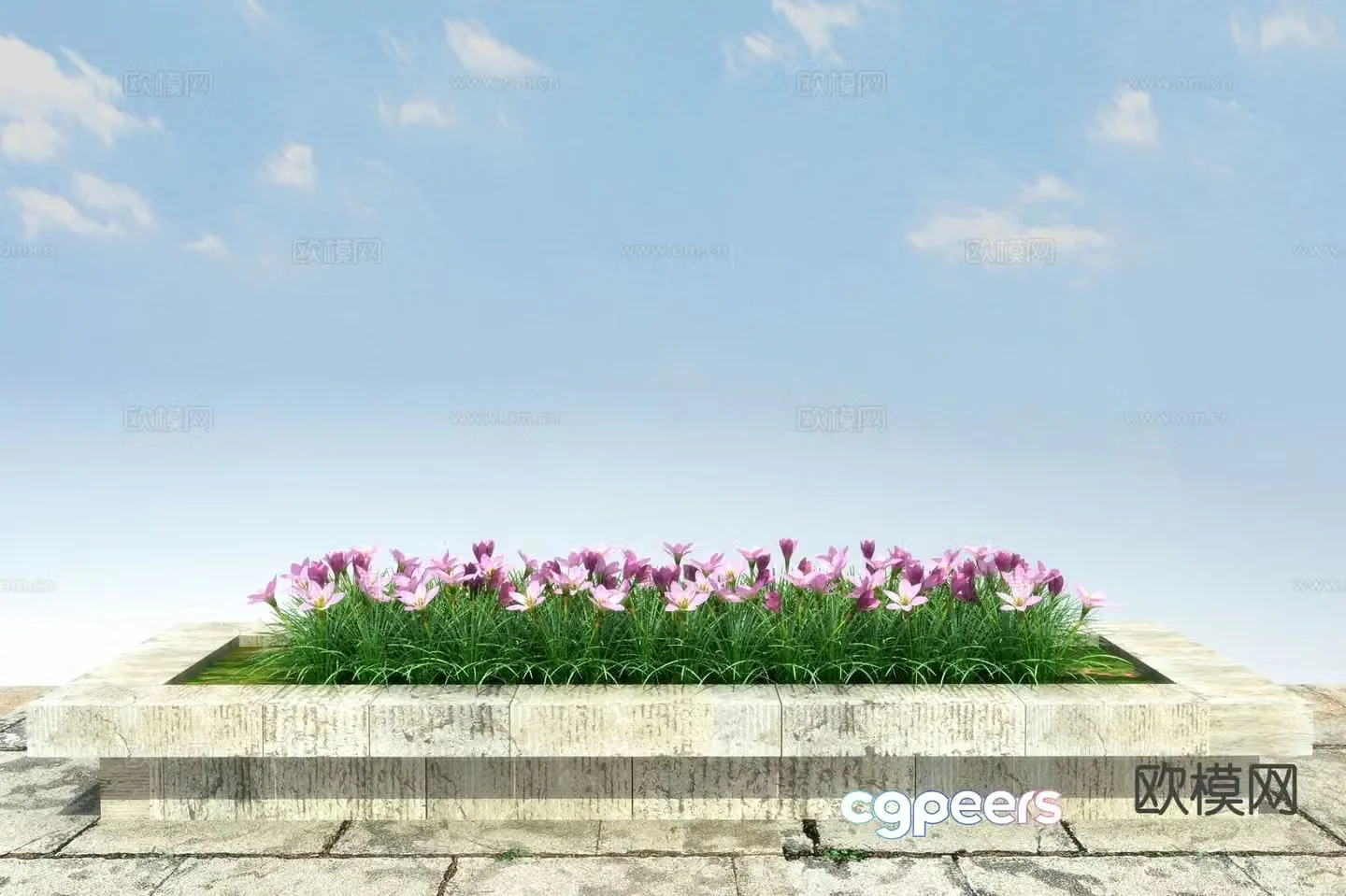 Flowers and plants onion 3D model