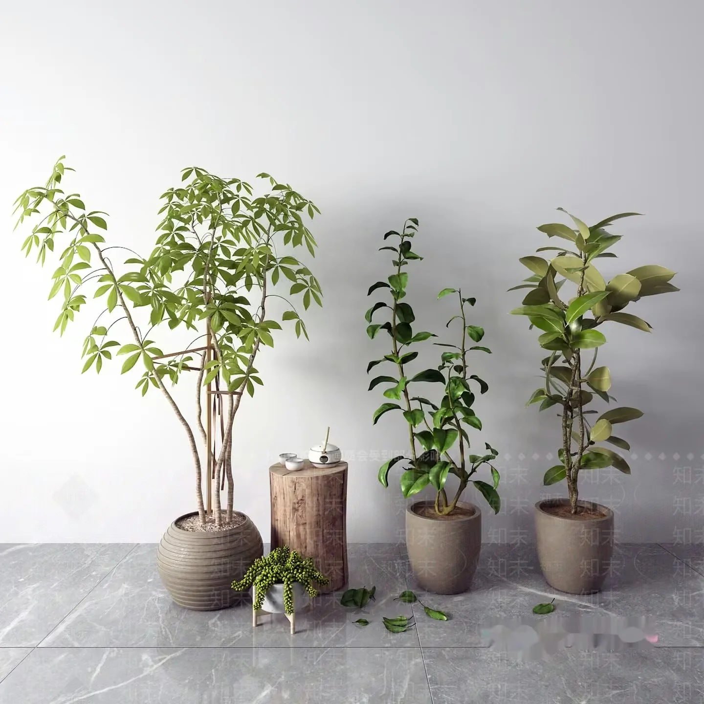 Potted Plants In A Room 3D Model – 9573 – VRAY Render