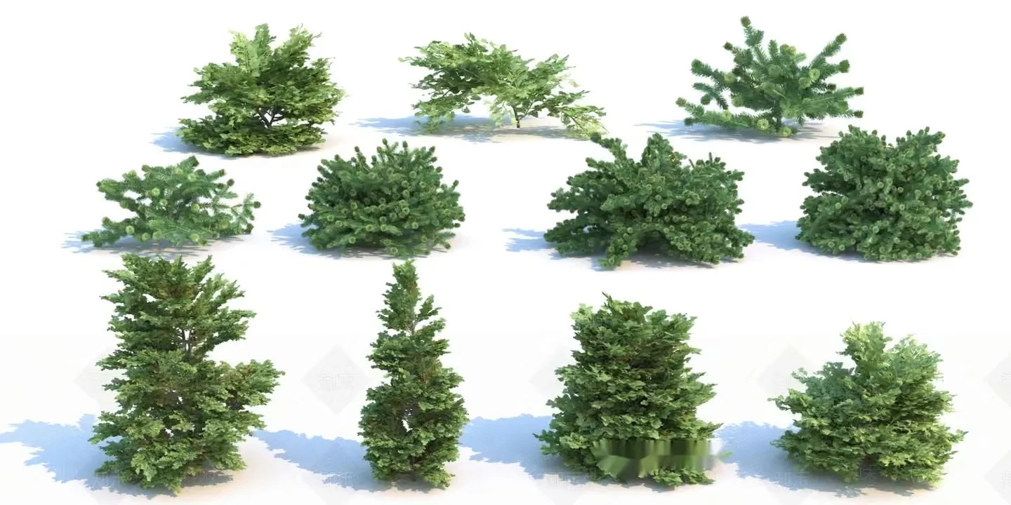 Small Green Trees 3D Model – 14698 – VRAY Render
