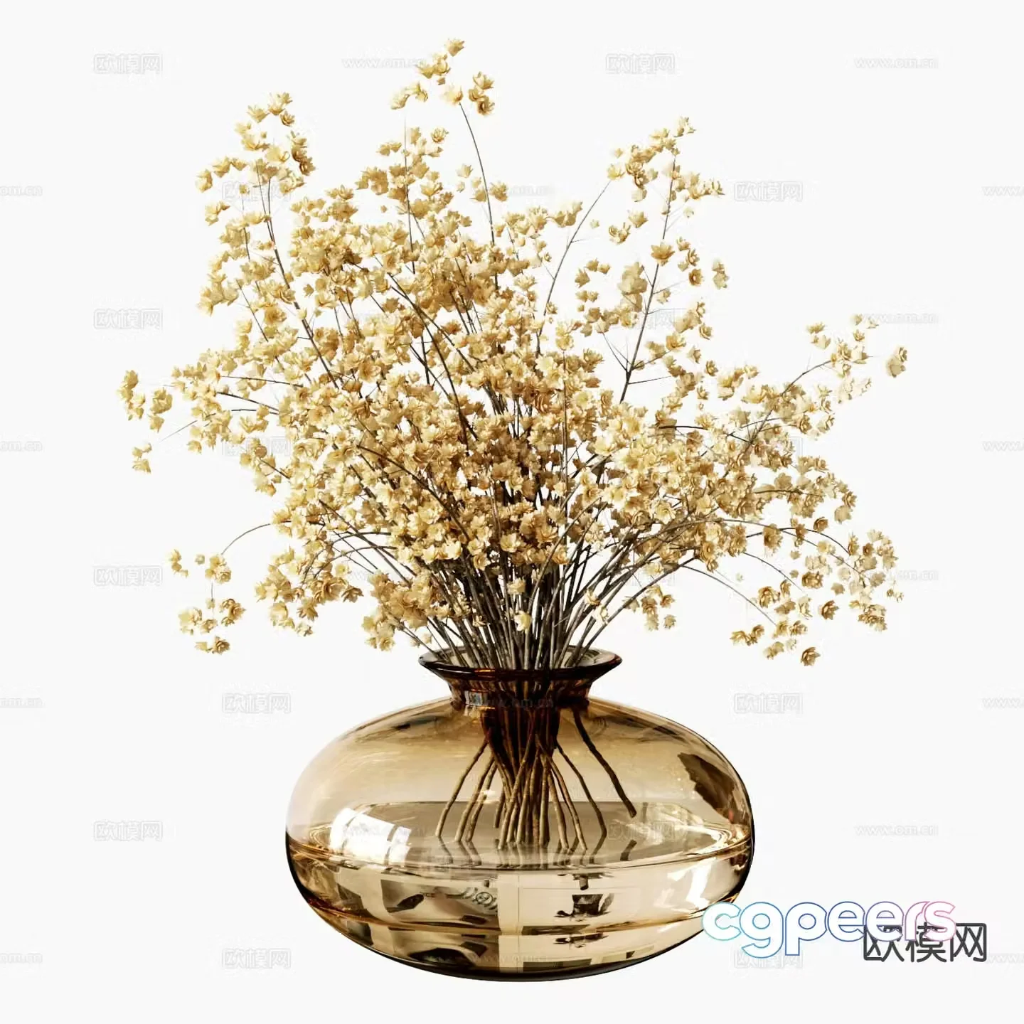 Aquatic plants hydroponic green plants 3D model